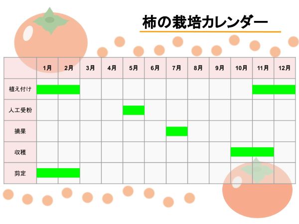 柿の栽培方法：基本知識